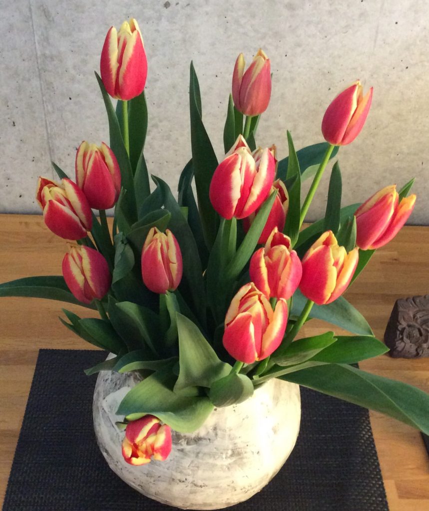 鹿児島の病院からお届けする日常 堂園メディカルハウス Part 3