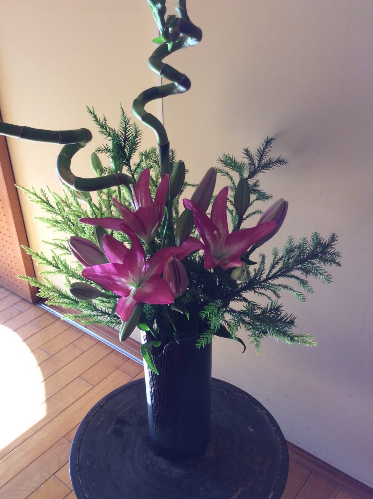 鹿児島の病院からお届けする日常 堂園メディカルハウス Part 2