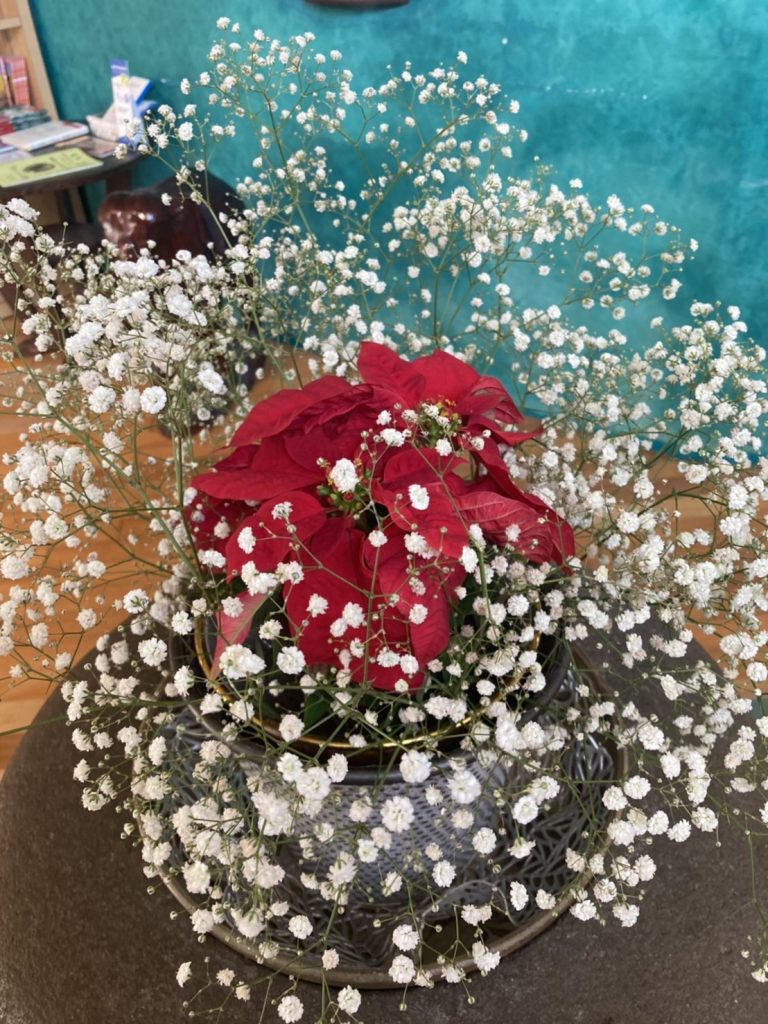 今週のお花 堂園メディカルハウス